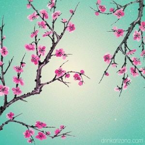 Meet your Posher, Ricky